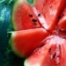 10 amazing recipes for watermelon dishes