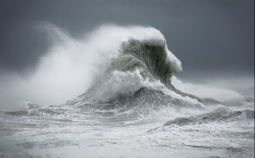 10 Awe-Inspiring Photos That Showcase The Majesty Of Ocean Waves By Rachael Talibart