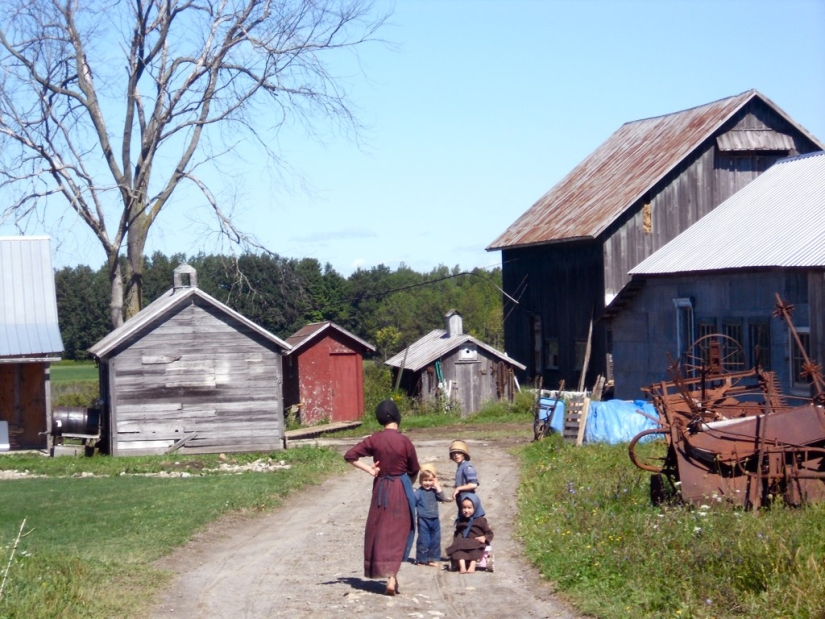 10 datos sobre los Amish