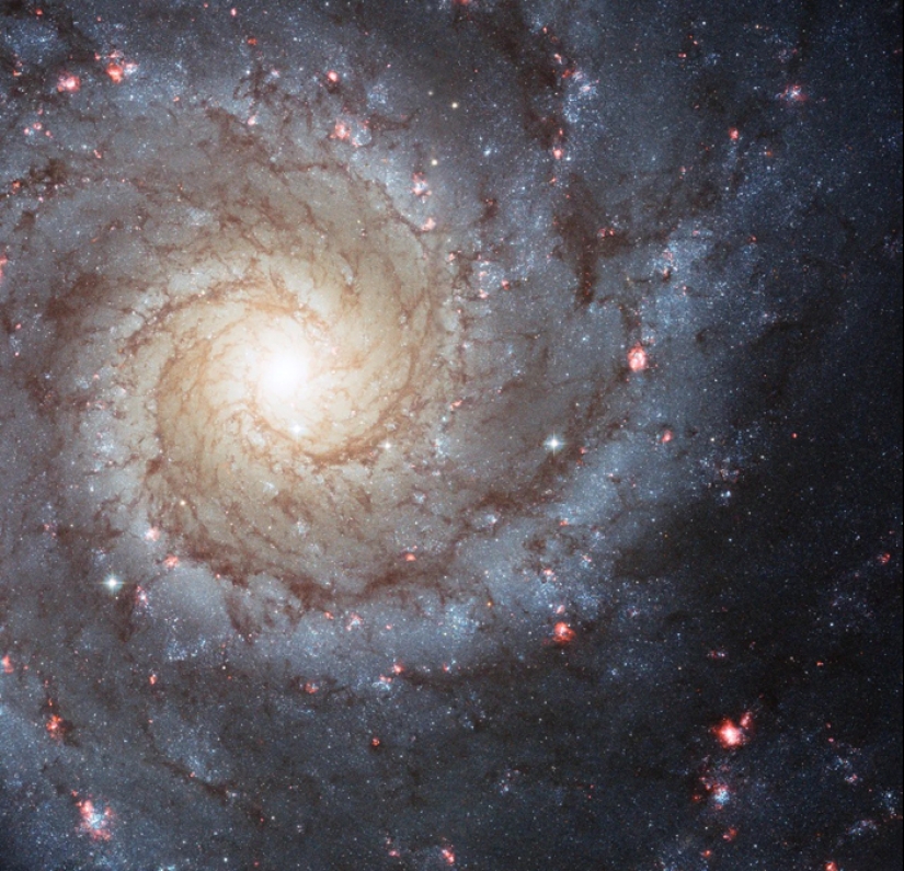 10 de las galaxias más fascinantes captadas por un telescopio