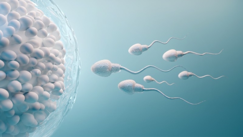 10 facts about human sperm