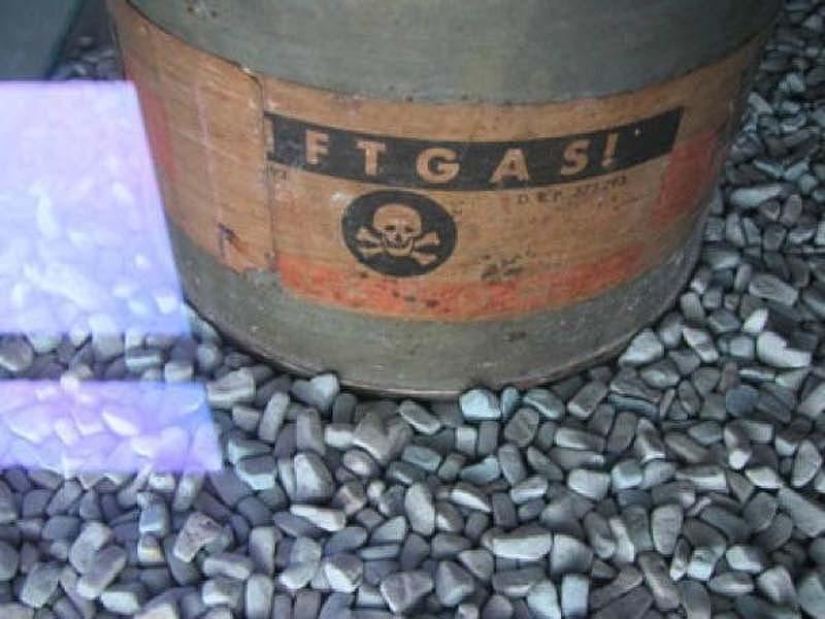 10 facts about poisons that will amaze you