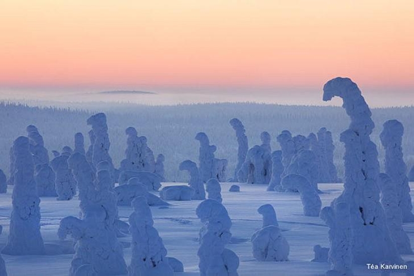 10 fascinantes fotos de Finlandia