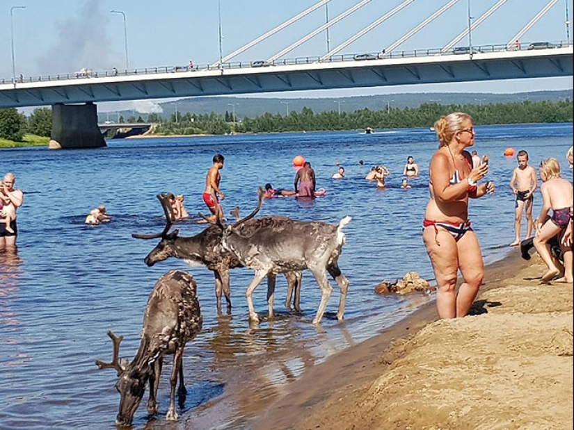 10 fotografías que la gente tomó durante las terribles olas de calor que ocurrieron este verano