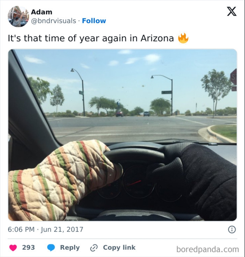 10 fotografías que la gente tomó durante las terribles olas de calor que ocurrieron este verano