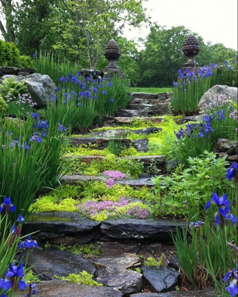 10 Heavenly Photos Of Gardens That Were Shared By This Instagram Account