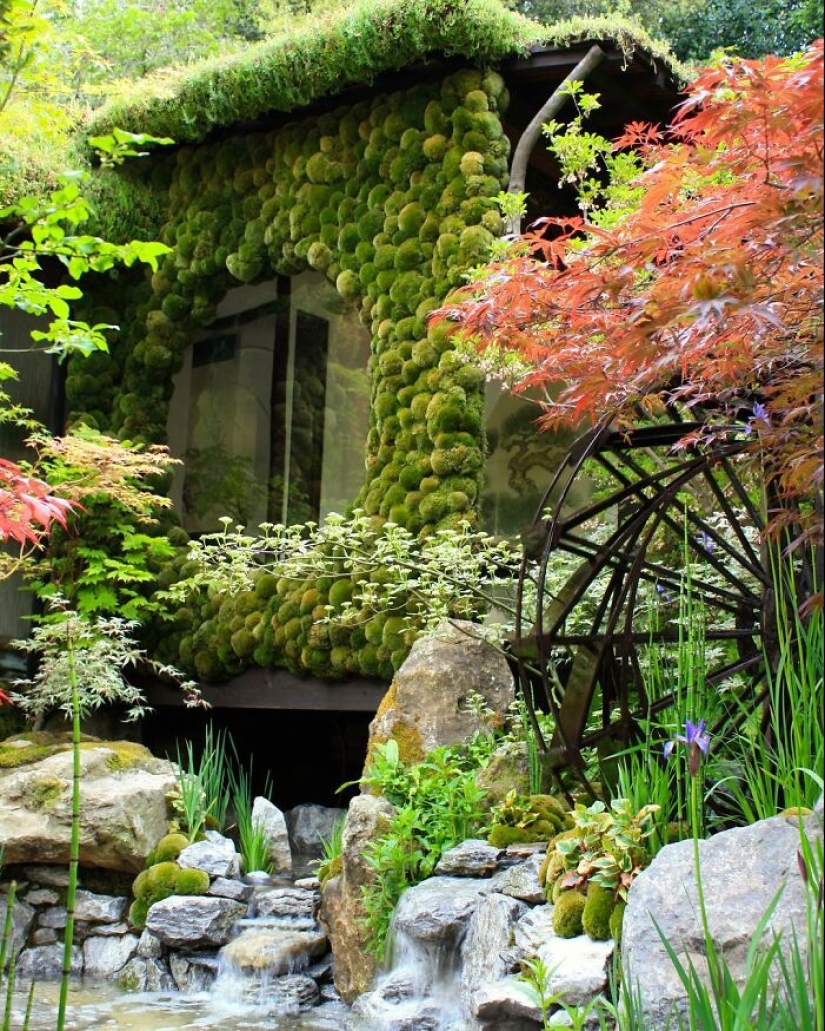 10 Heavenly Photos Of Gardens That Were Shared By This Instagram Account