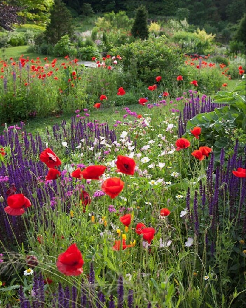 10 Heavenly Photos Of Gardens That Were Shared By This Instagram Account