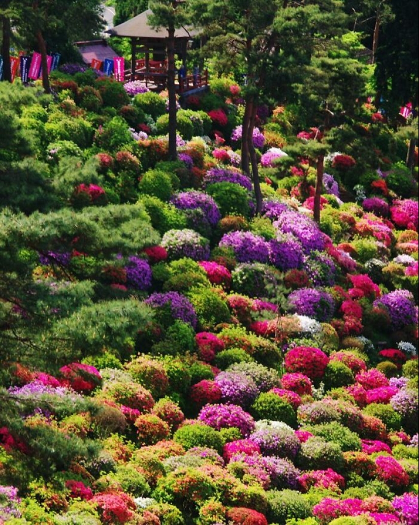 10 Heavenly Photos Of Gardens That Were Shared By This Instagram Account