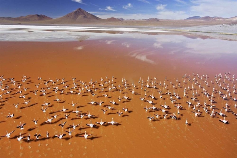 10 impresionantes vistas del desierto desde el aire