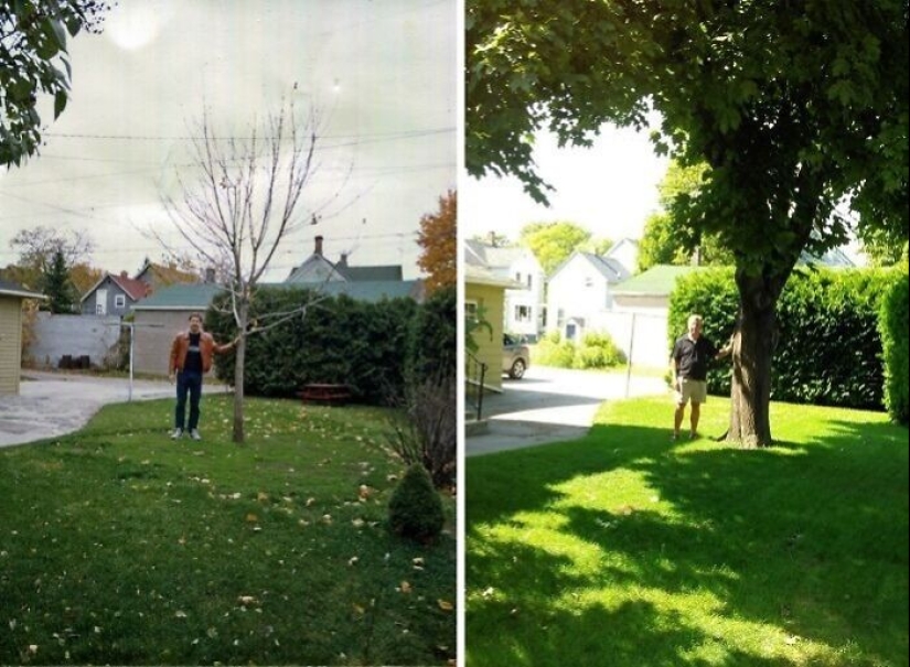 10 Impressive Progress Photos Of Trees Growing Up And Making Spaces Greener