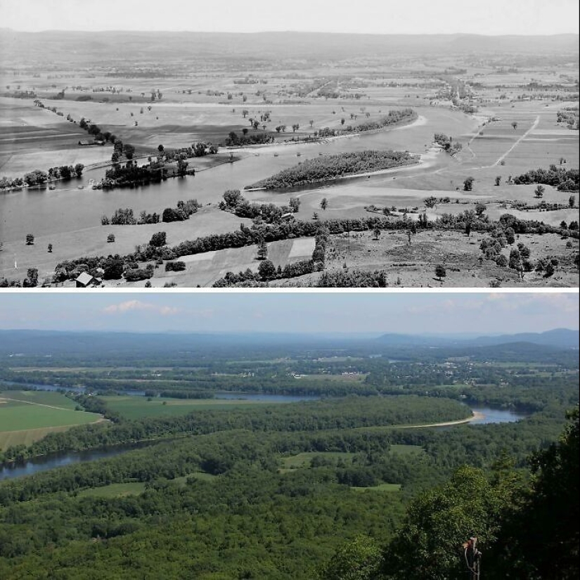 10 Impressive Progress Photos Of Trees Growing Up And Making Spaces Greener