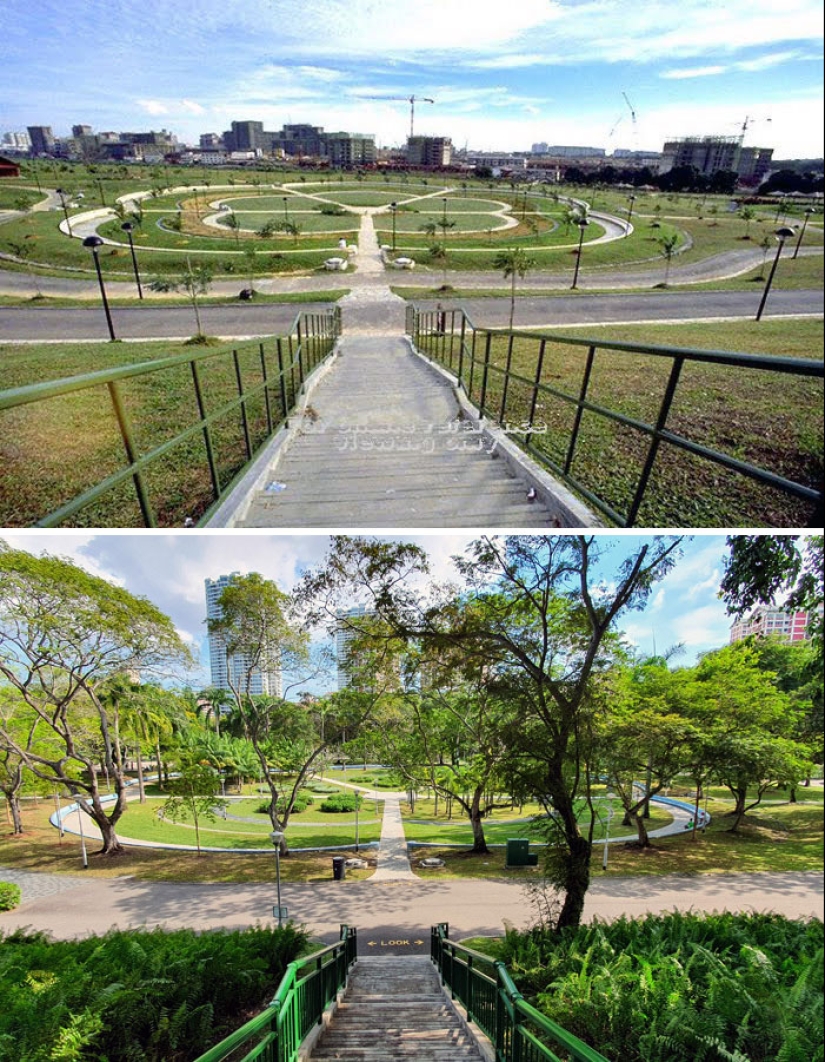 10 Impressive Progress Photos Of Trees Growing Up And Making Spaces Greener