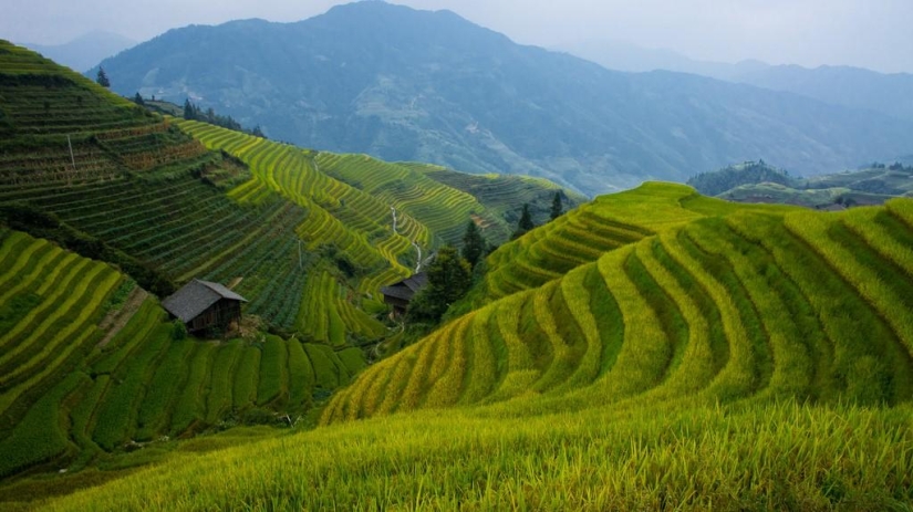 10 lugares increíbles en China, además de la Gran Muralla y el Ejército de Terracota