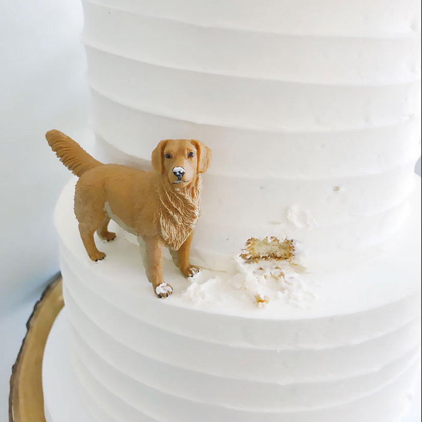 10 ocasiones en las que a la gente se le ocurrieron las formas más ingeniosas de decorar un pastel