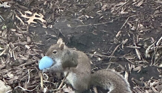 10 Parents Having A Pretty Miserable Day