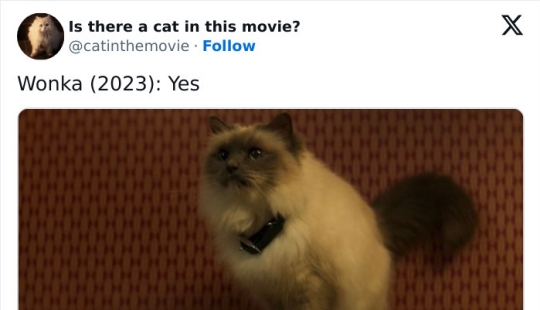 10 Times Cats Were Spotted In A Movie, Uncovered By This Account