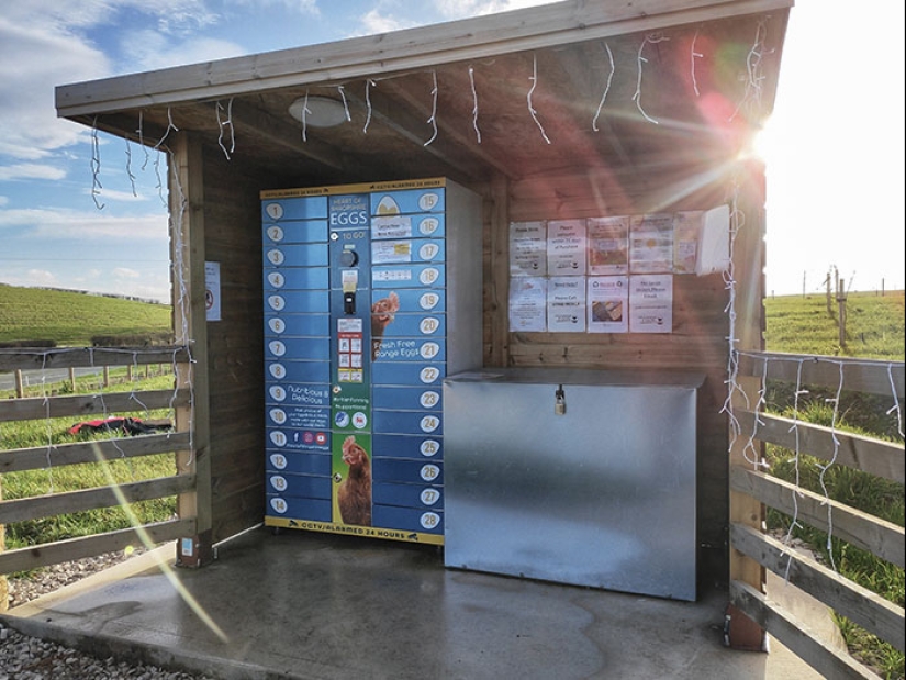 10 Times People Came Across An Unusual Vending Machine And Just Had To Share It