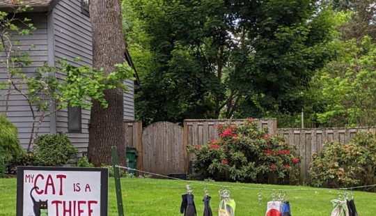 10 Times People Felt Pure Joy Living Next Door To Their Funny Neighbors