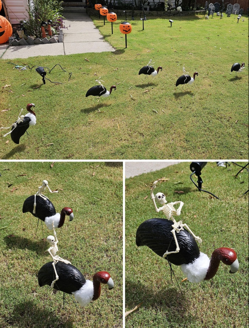 10 Times People Were So Proud Of Their Outdoor Halloween Decorations, They Had to Share Them