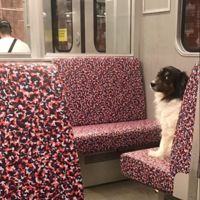 10 veces que la gente tuvo que mirar dos veces para entender lo que veían en el metro de Berlín