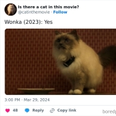 10 veces que se vieron gatos en una película, descubiertos por este relato