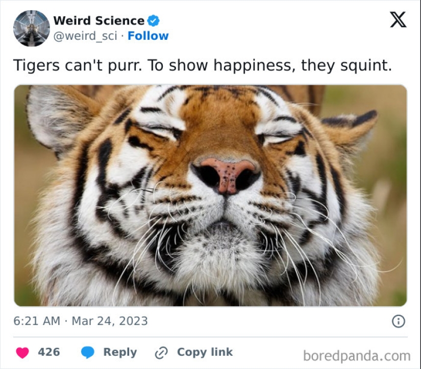 10 Weird Science Posts That Have Been Scientifically Proven To Be Interesting