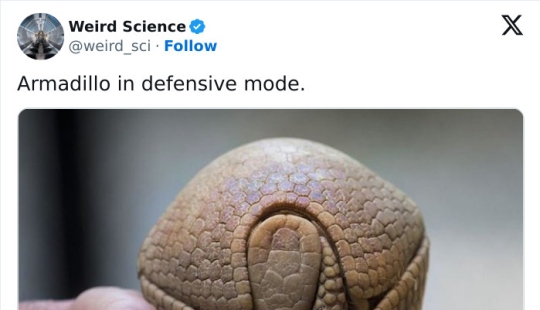 10 Weird Science Posts That Have Been Scientifically Proven To Be Interesting