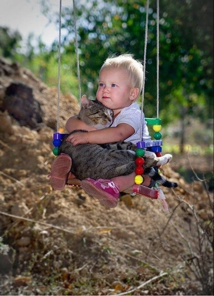 100 mejores fotos de gatos de todos los tiempos