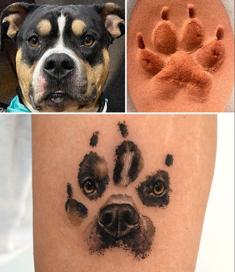 11 Tattoos That Owners Will Cherish Forever As They Feature Realistic Portraits Of Their Pets