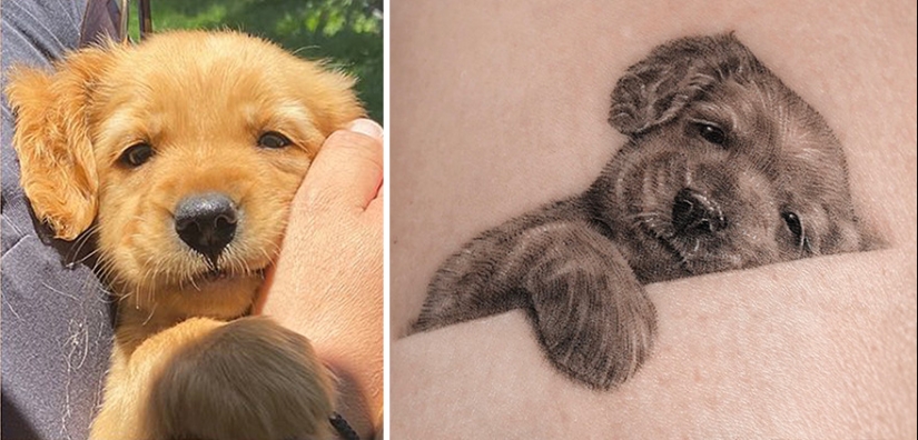 11 Tattoos That Owners Will Cherish Forever As They Feature Realistic Portraits Of Their Pets