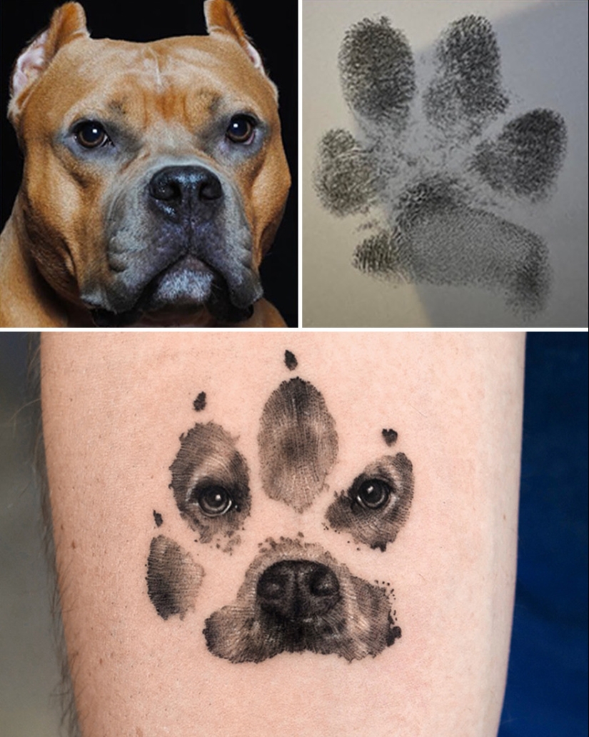 11 Tattoos That Owners Will Cherish Forever As They Feature Realistic Portraits Of Their Pets