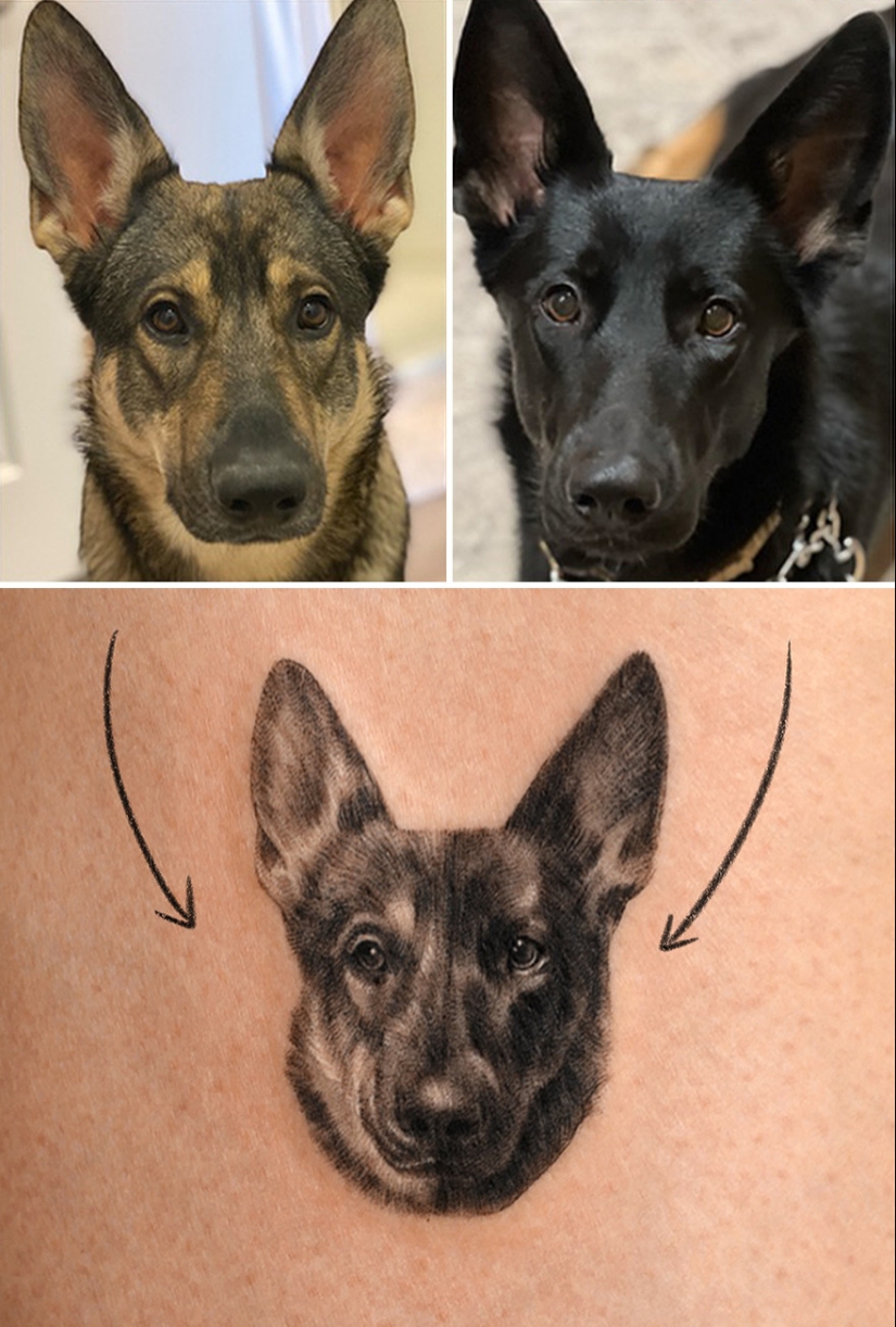 11 Tattoos That Owners Will Cherish Forever As They Feature Realistic Portraits Of Their Pets