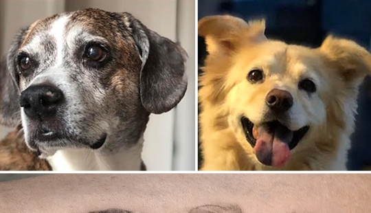 11 tatuajes que sus dueños apreciarán para siempre ya que presentan retratos realistas de sus mascotas