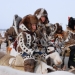 12 absurd but true facts about the Chukchi that will surprise you