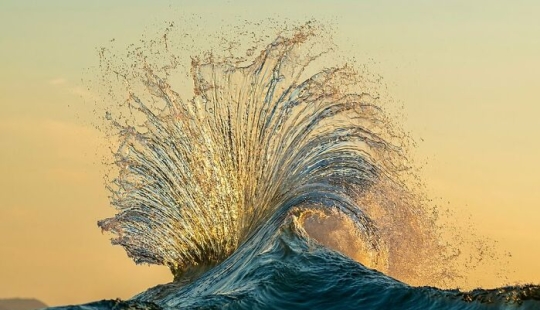 12 Breathtaking Wave Photos By Ray Collins