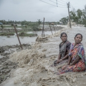 12 Eye-Opening Winning Images Of The 2024 Mangrove Photography Awards