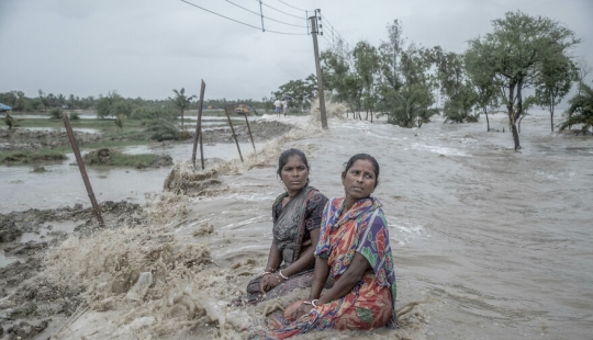 12 Eye-Opening Winning Images Of The 2024 Mangrove Photography Awards