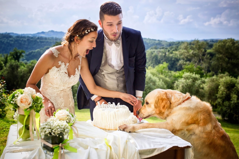 12 fotos de boda que fueron arruinadas por algún bruto