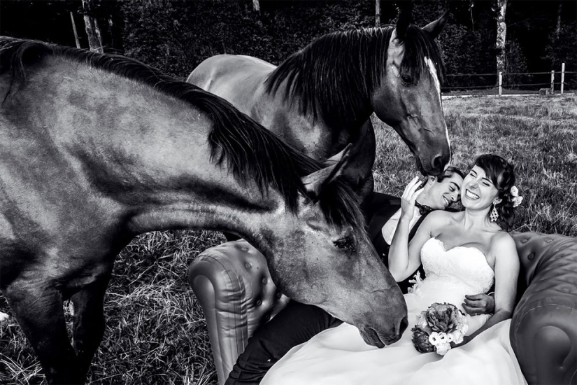 12 fotos de boda que fueron arruinadas por algún bruto