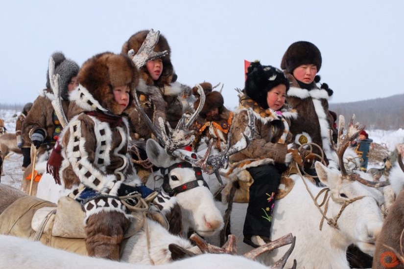 12 hechos absurdos pero verdaderos sobre el Chukchi que te sorprenderán