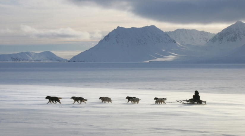 12 hechos absurdos pero verdaderos sobre el Chukchi que te sorprenderán