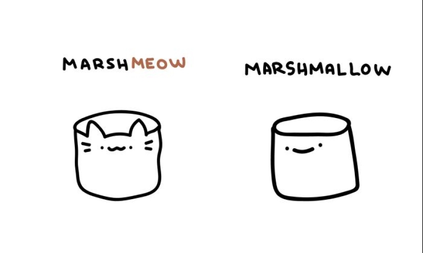 12 Illustrations Highlighting The Funny Differences Between Words That I Created