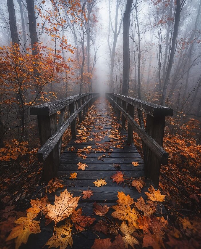 12 imágenes de paisajes que difuminan la línea entre realidad e imaginación Por Daniel Greenwood