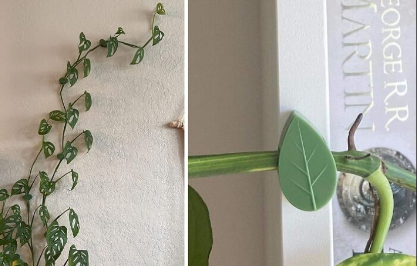 12 Must-Haves For Plant Parents Reaching For The Leafy Pinnacle