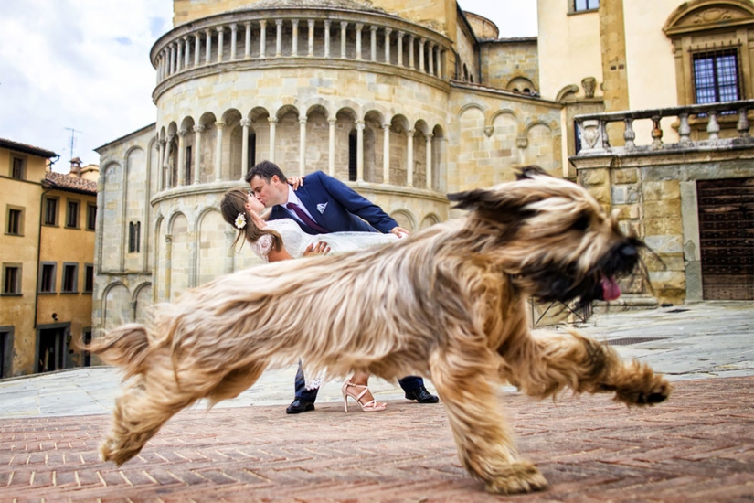 12 wedding photos that were ruined by some brute