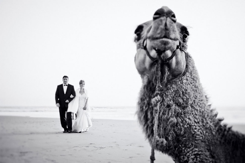 12 wedding photos that were ruined by some brute