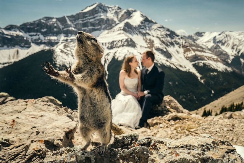 12 wedding photos that were ruined by some brute