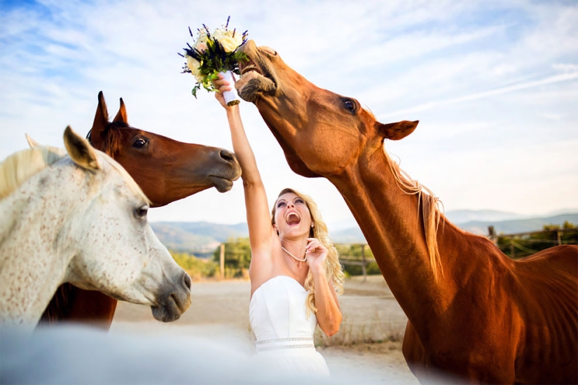 12 wedding photos that were ruined by some brute