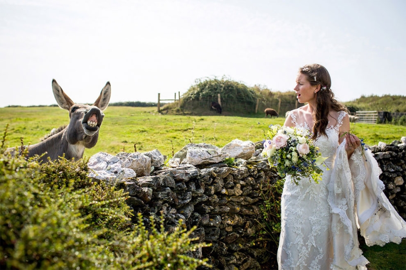 12 wedding photos that were ruined by some brute